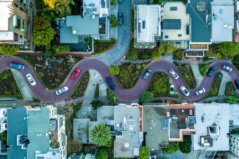 Ultimate Guide to Muir Woods Tours: Tips, Trails & How to Get There