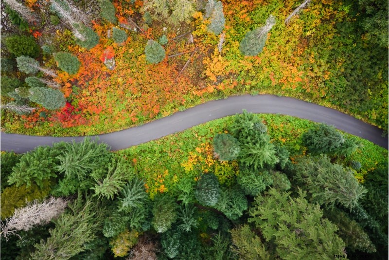 Ultimate Snoqualmie Falls Guide: Tours, Tips, Activities & Must-Knows