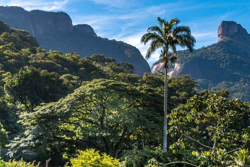 Top 18 Best Tours in Rio de Janeiro: Unmissable Experiences for Every Traveler