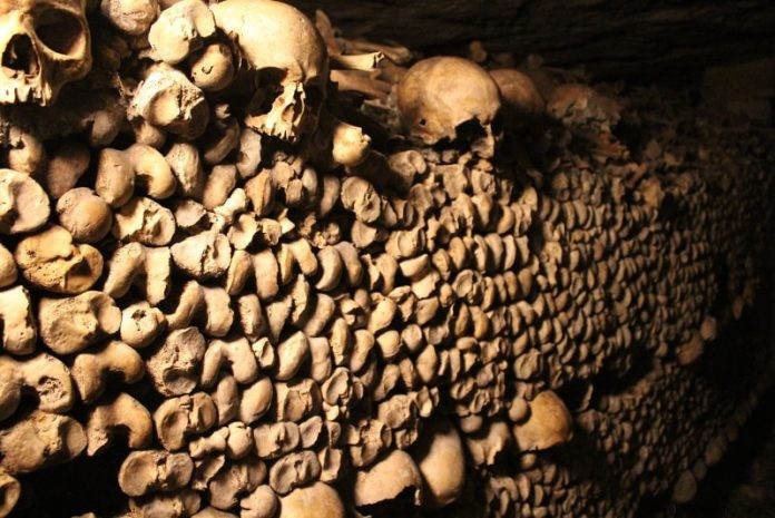 Paris Catacombs Tickets: Prices, Booking Guide & Skip-the-Line Options