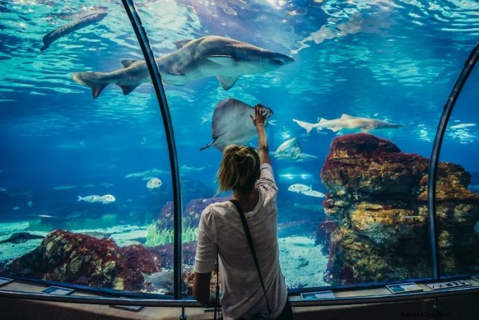 Top 17 Trusted Websites to Book Attraction Tickets Seamlessly