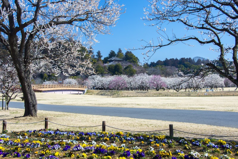 42 Best Day Trips from Tokyo: Ultimate Guide to Nearby Escapes