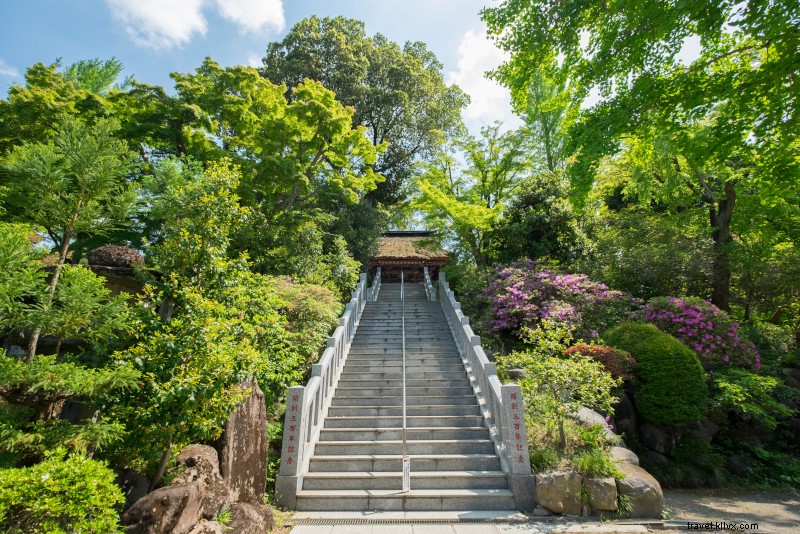 42 Best Day Trips from Tokyo: Ultimate Guide to Nearby Escapes