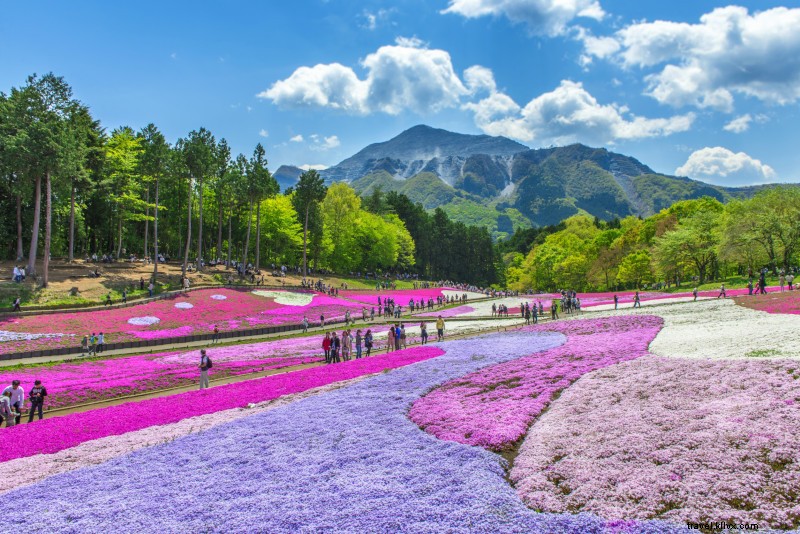 42 Best Day Trips from Tokyo: Ultimate Guide to Nearby Escapes