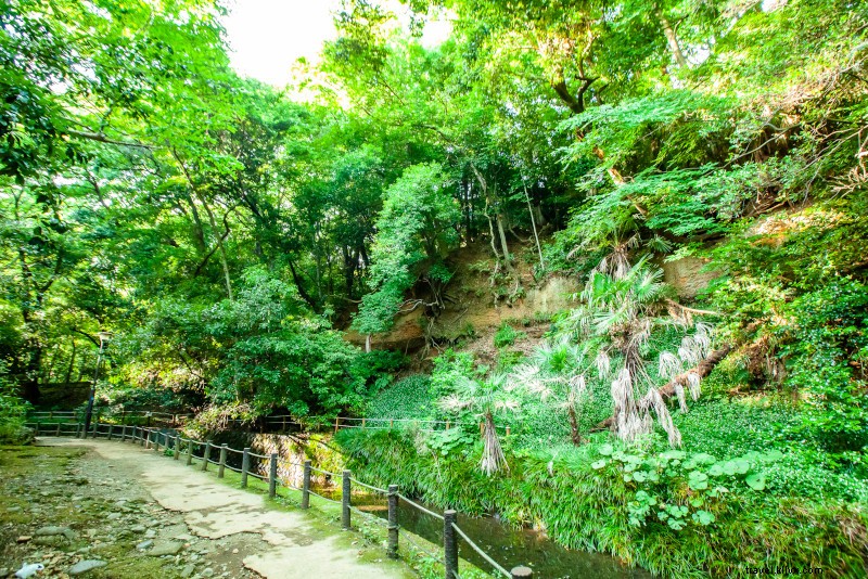 42 Best Day Trips from Tokyo: Ultimate Guide to Nearby Escapes