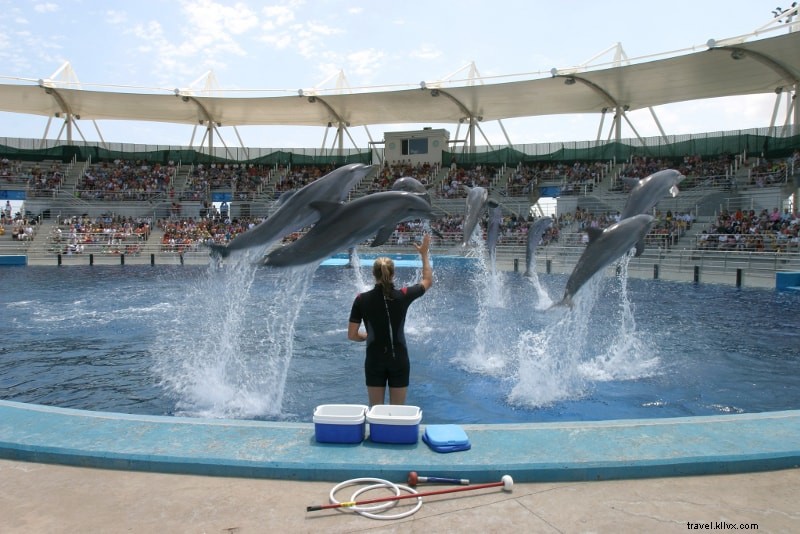 Oceanogràfic Valencia Ticket Prices: Discounts, Combos & Complete Guide