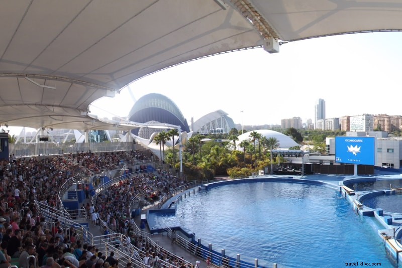 Oceanogràfic Valencia Ticket Prices: Discounts, Combos & Complete Guide