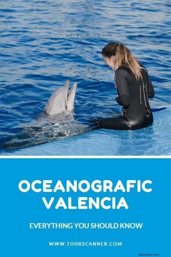 Oceanogràfic Valencia Ticket Prices: Discounts, Combos & Complete Guide
