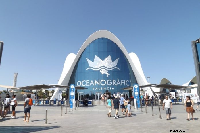 Oceanogràfic Valencia Ticket Prices: Discounts, Combos & Complete Guide