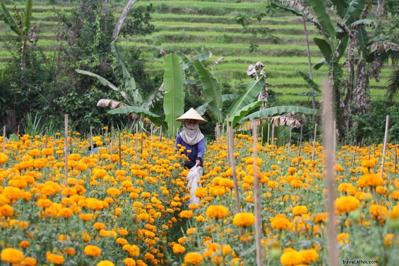 81 Fun & Unique Things to Do in Bali: Cool, Unusual Activities for Every Traveler