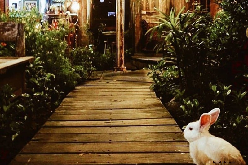 81 Fun & Unique Things to Do in Bali: Cool, Unusual Activities for Every Traveler