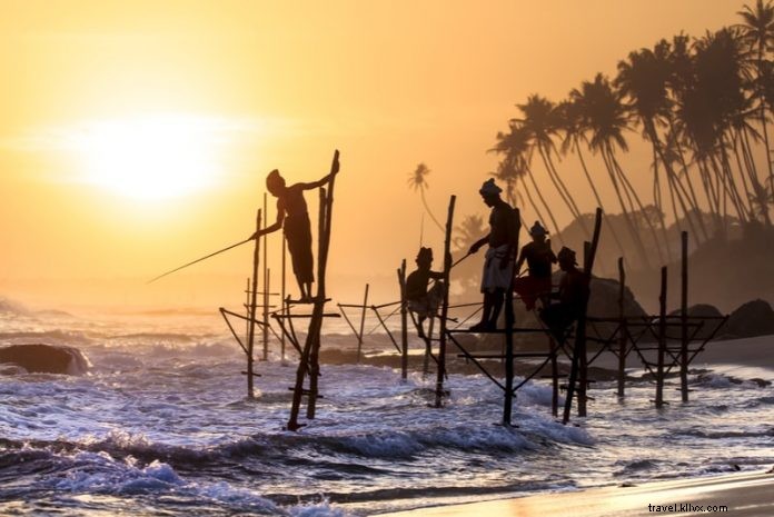 Top 11 Must-Visit Destinations in Sri Lanka for First-Time Travelers