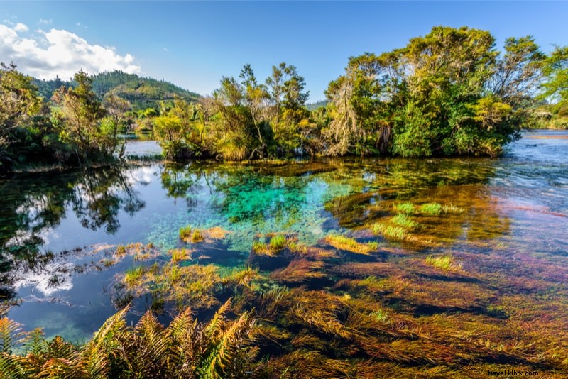 Discover 61 Fun Things to Do in New Zealand: North & South Islands Guide