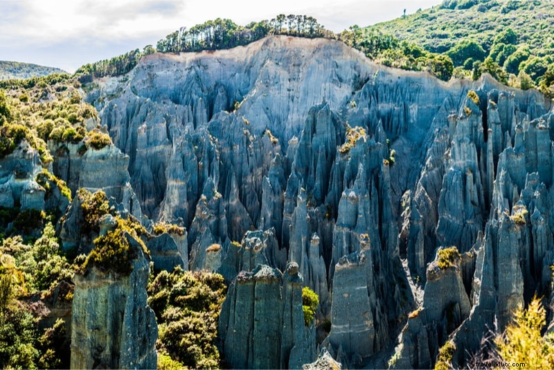 Discover 61 Fun Things to Do in New Zealand: North & South Islands Guide