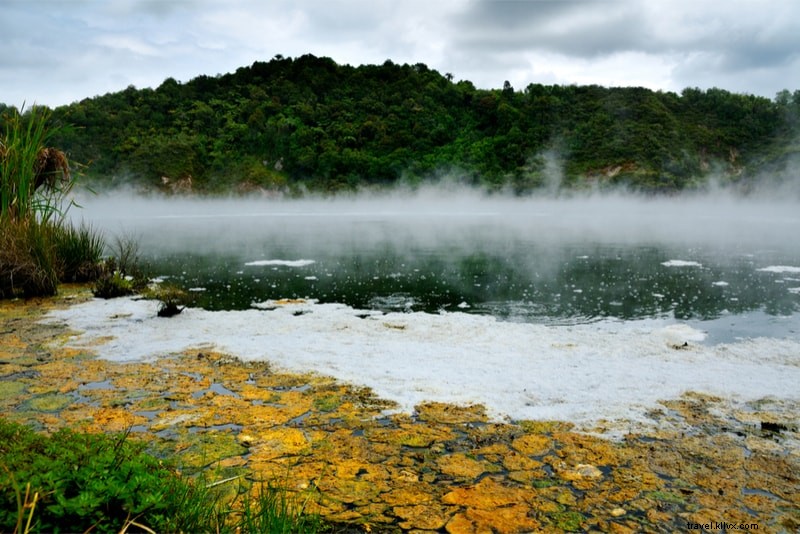 Discover 61 Fun Things to Do in New Zealand: North & South Islands Guide