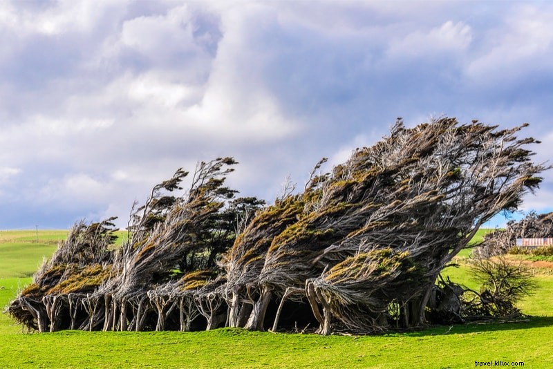 Discover 61 Fun Things to Do in New Zealand: North & South Islands Guide