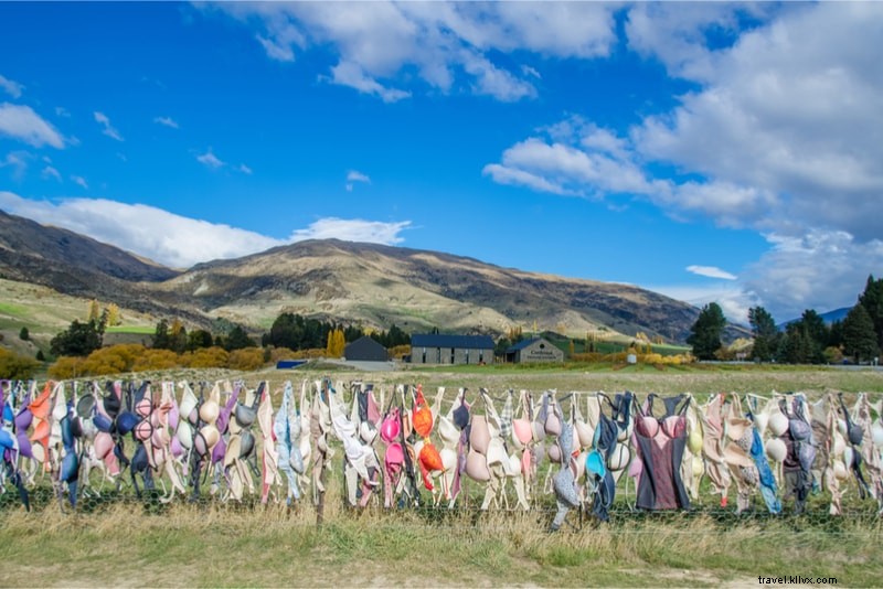 Discover 61 Fun Things to Do in New Zealand: North & South Islands Guide
