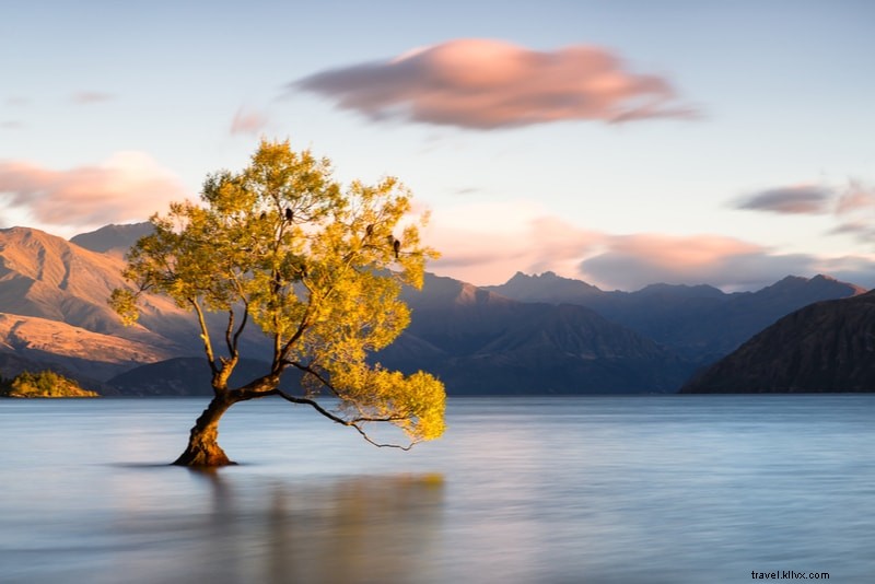 Discover 61 Fun Things to Do in New Zealand: North & South Islands Guide