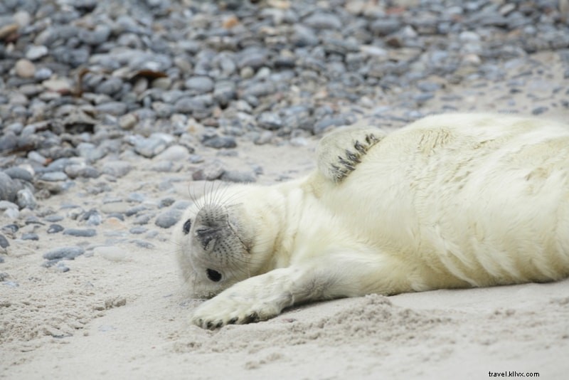 Discover 61 Fun Things to Do in New Zealand: North & South Islands Guide