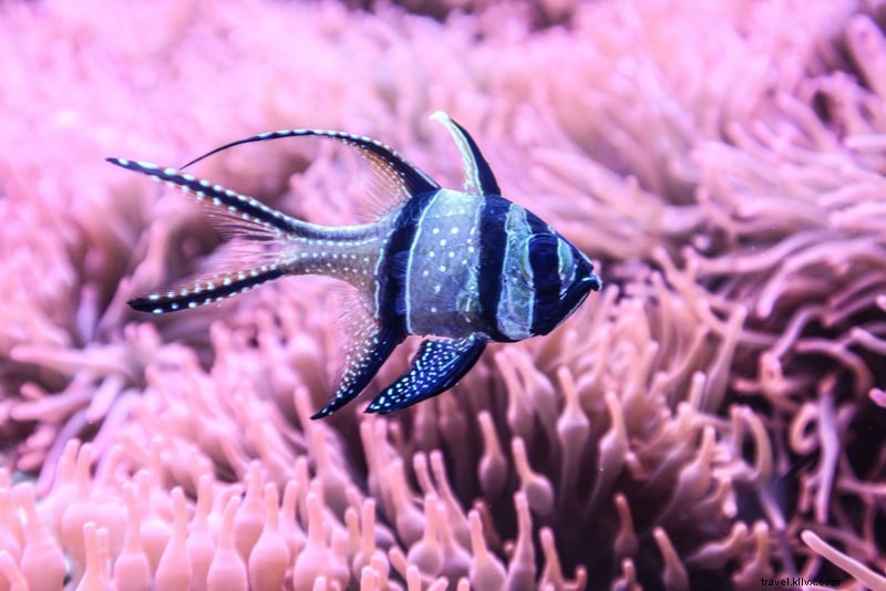 Top 20 Must-Visit Places in Milan: Ultimate Travel Guide