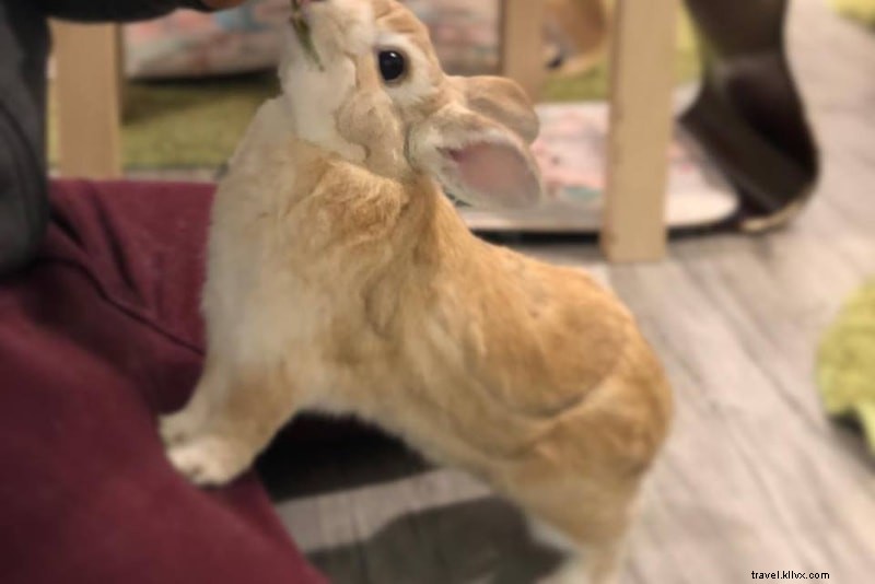 37 Cool & Unusual Things to Do in Hong Kong: Fun Activities for Every Traveler