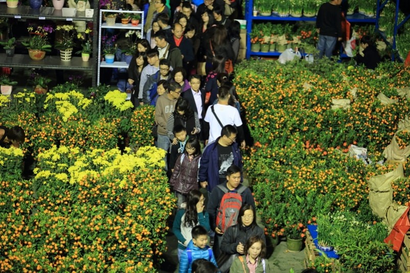 37 Cool & Unusual Things to Do in Hong Kong: Fun Activities for Every Traveler