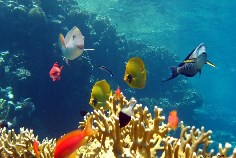 19 Best Hidden Islands in Asia: Discover Before They Become Famous