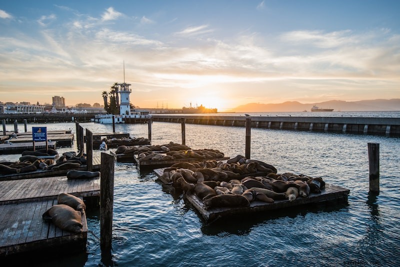 Discover 54 Fun & Unusual Things to Do in San Francisco