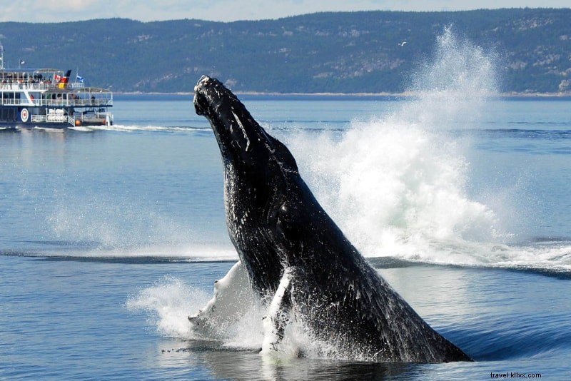 Ultimate 100 Travel Bucket List Ideas: Must-Visit Destinations Worldwide