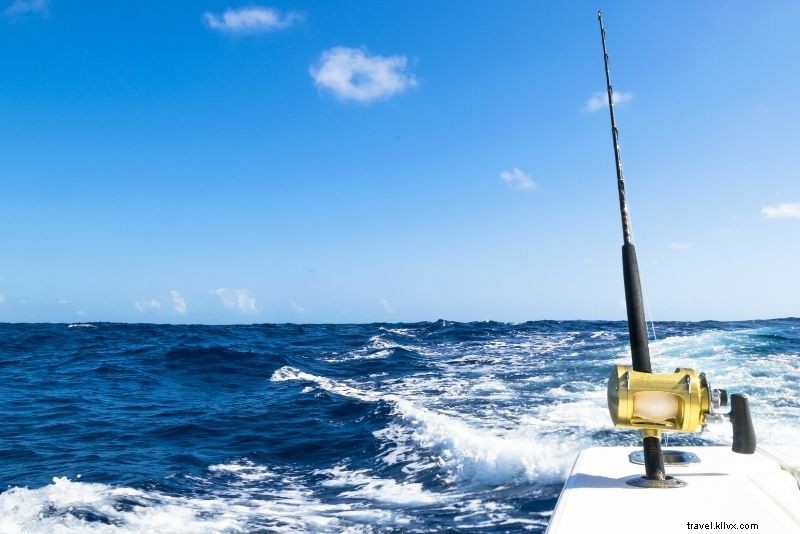 81 Must-Do Fun Things to Do in Barcelona: Ultimate Travel Guide