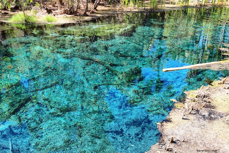 52 Ultimate Fun Things to Do in Australia: Cool & Unusual Adventures