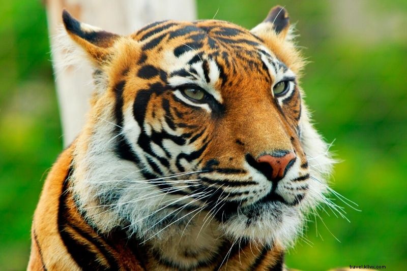 100 Must-Do Activities in London: The Ultimate Bucket List Guide