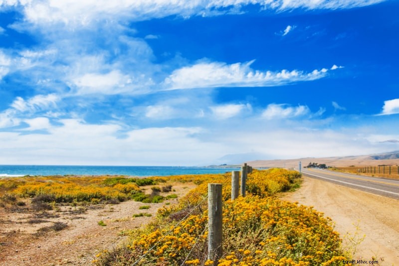 Discover the 14 Best Road Trips Around the World: Epic Scenic Journeys