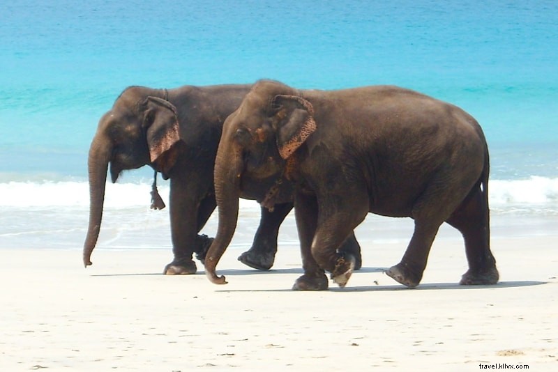 Discover the Top 30 Paradise Islands for Your Dream Getaway