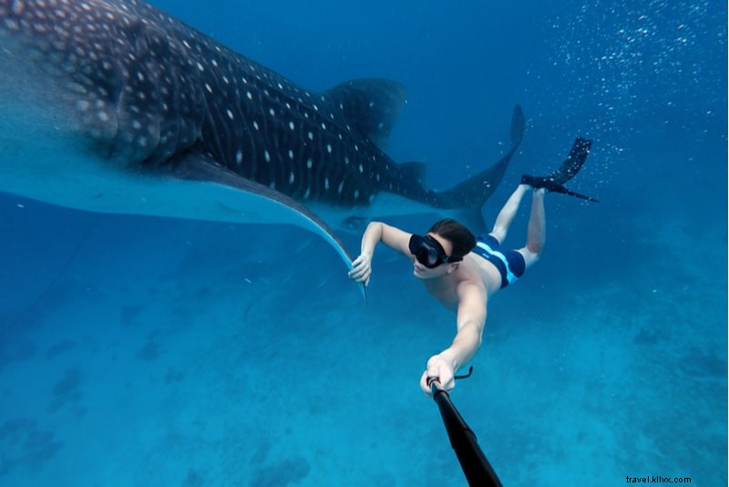 22 Must-Try Water Sports: Ultimate Guide to Thrilling Aquatic Adventures