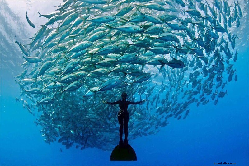 22 Must-Try Water Sports: Ultimate Guide to Thrilling Aquatic Adventures