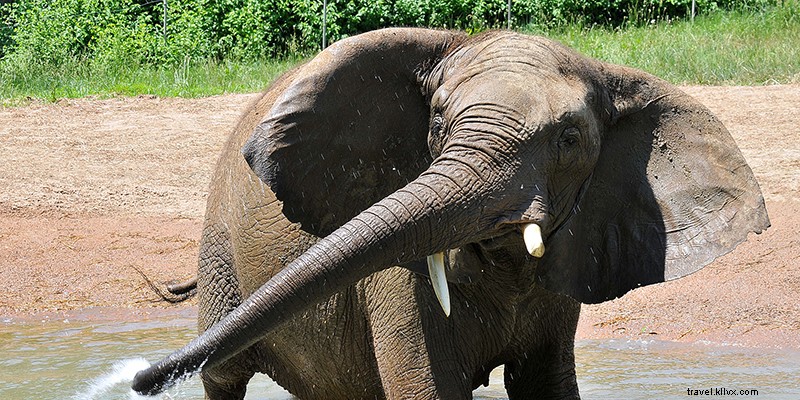 Top 20 Reasons to Visit Kansas City in 2020