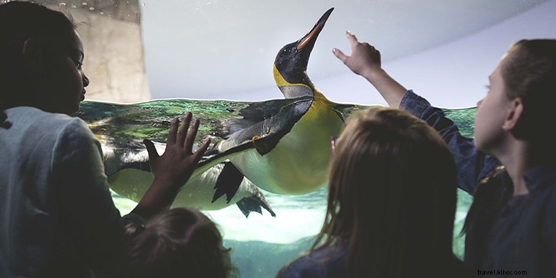 Kansas City s Ultimate Guide to 4th of July: Fireworks, Festivals & Events