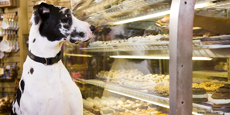 Ultimate Country Club Plaza Shopping Guide: Kansas City s Premier Retail Destination