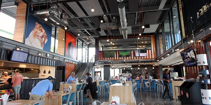 Top Dog-Friendly Spots in Kansas City: Parks, Hotels & More