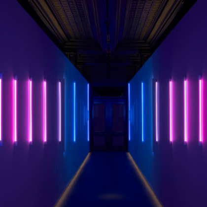 Top Dog-Friendly Spots in Kansas City: Parks, Hotels & More