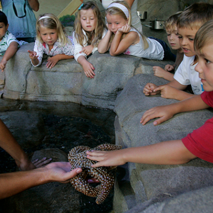 Best Kid-Friendly Restaurants in Kansas City: Family Dining Guide