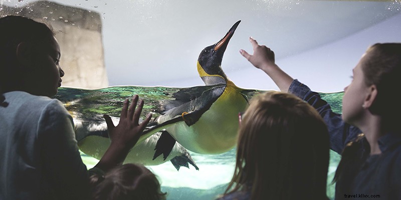 Best Ways to Celebrate Mother s Day in Kansas City