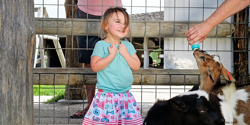 Best Ways to Celebrate Mother s Day in Kansas City