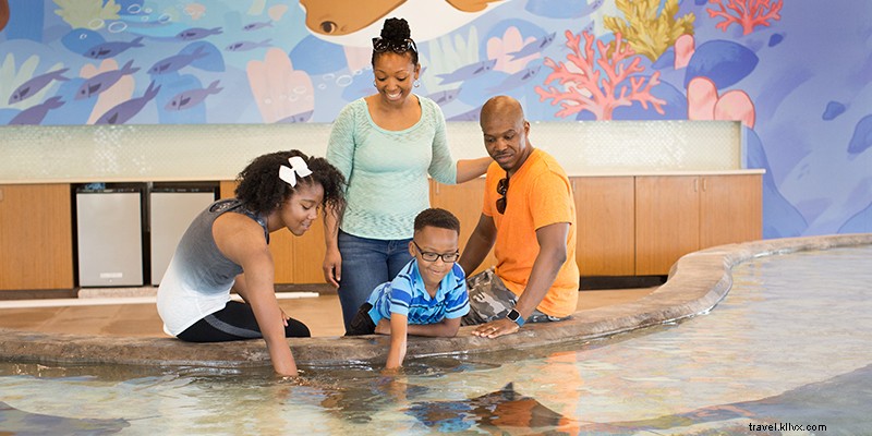 Ultimate Guide to Summer in Kansas City: Festivals, Parks & Unforgettable Adventures