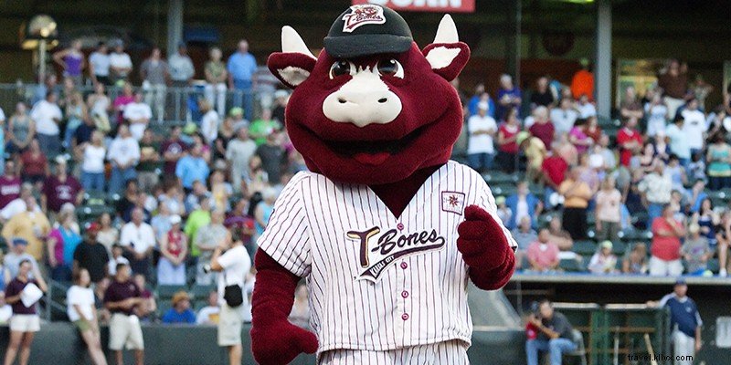 Discover Kansas City s Vibrant Sports Culture and Passionate Fans