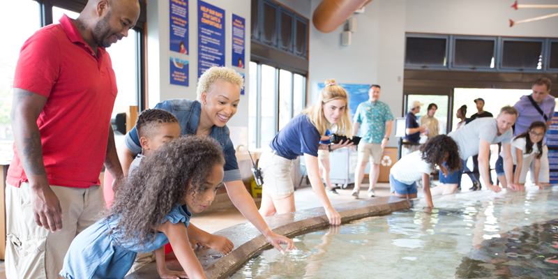 Top Kansas City Attractions: Family-Friendly Favorites and Shopping Wonders