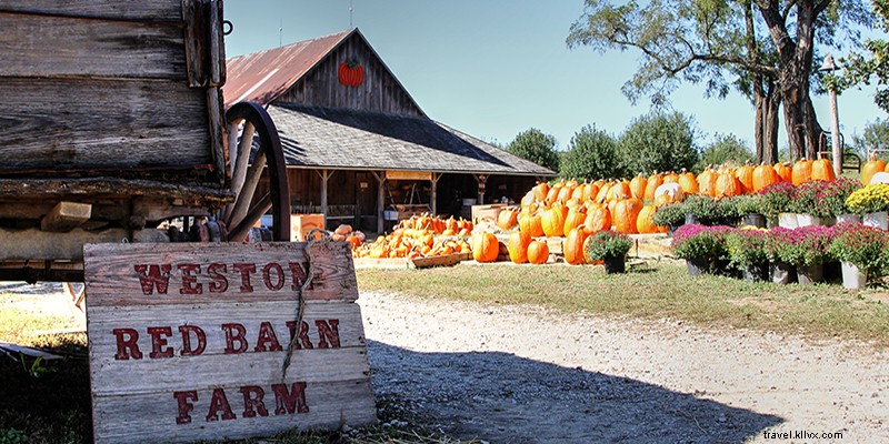 Kansas City s Best Spots for Stunning Fall Foliage