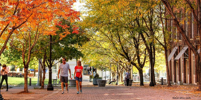 Kansas City s Best Spots for Stunning Fall Foliage