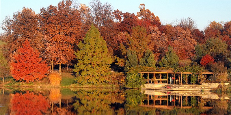 Kansas City s Best Spots for Stunning Fall Foliage